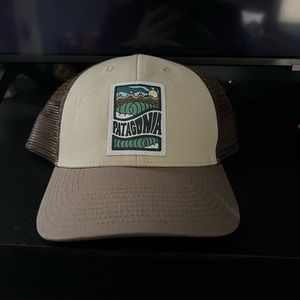 patagonia trucker hat